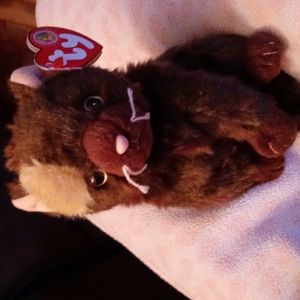 Ty Beanie Baby of the month kitty